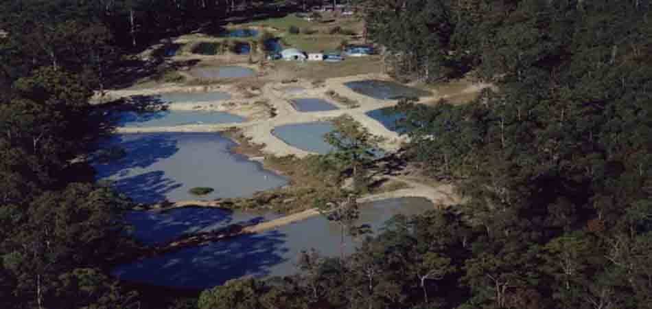 Notice the turbity. This factor reduces productivity. The authors  Farm 1990